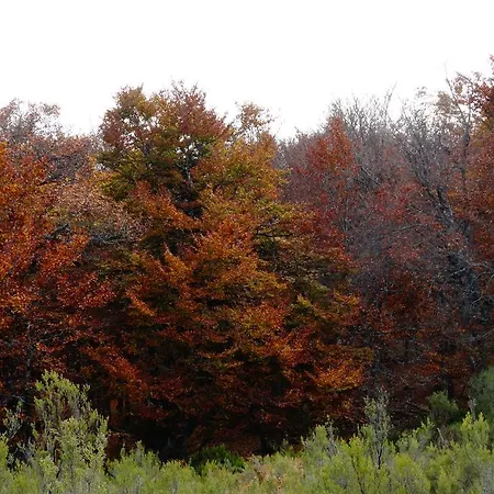 Apartment Fuente De Somave *