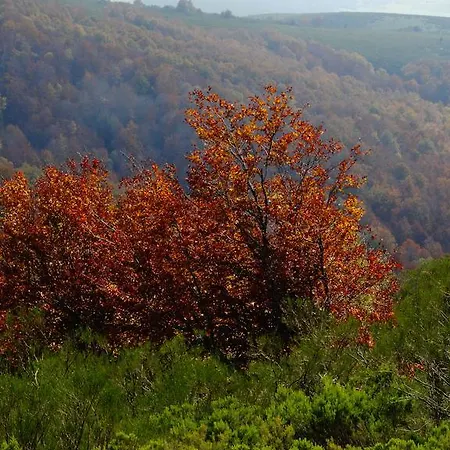 Fuente De Somave * Cahecho