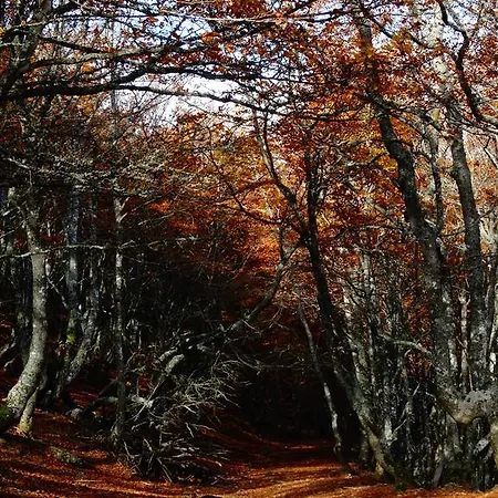 Fuente De Somave Apartment