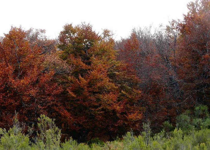 شقة Fuente De Somave *