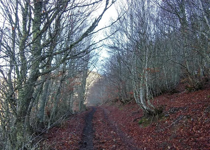 Apartment Fuente De Somave *