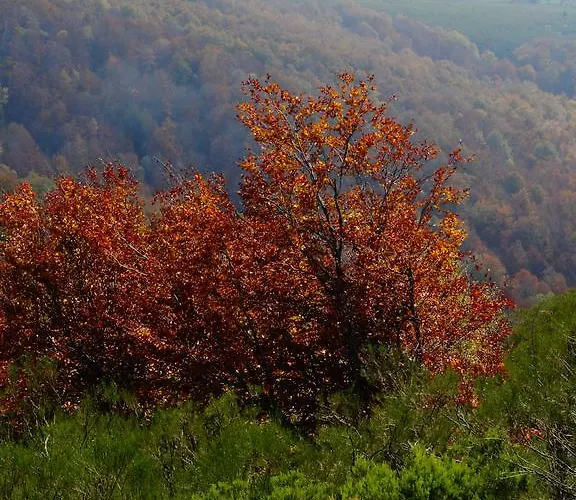 Fuente De Somave * Cahecho