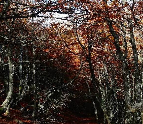 Fuente De Somave شقة