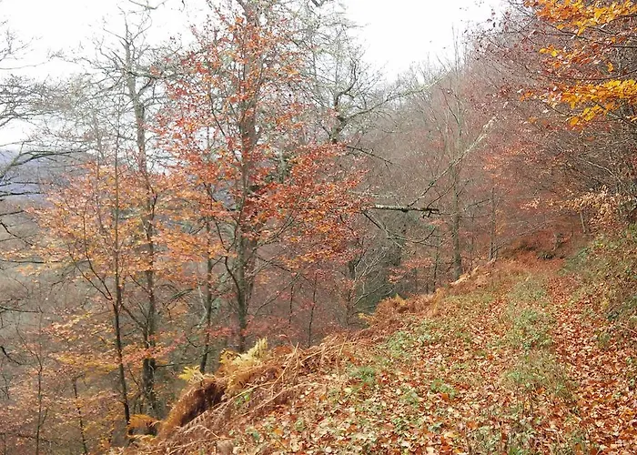 Fuente De Somave Apartment *